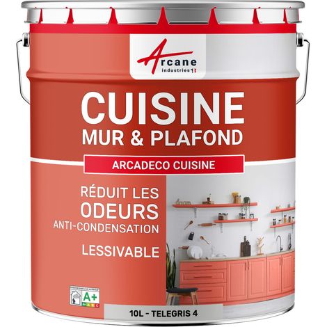 Peinture cuisine, lessivable, absorbe les odeurs - 10 L Telegris 4 - RAL 7047 - ARCANE INDUSTRIES
