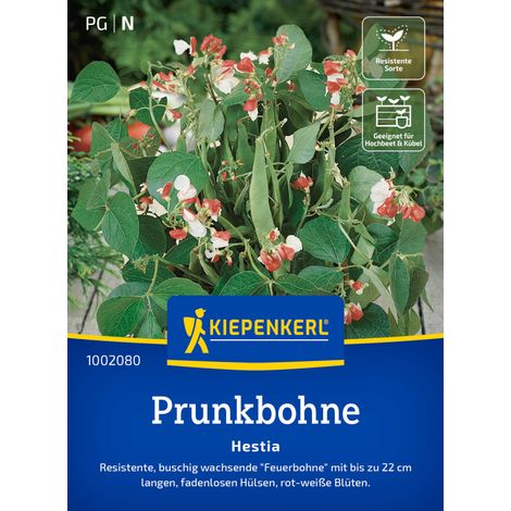 Kiepenkerl Saatgut Prunkbohnen Hestia für ca. 35 Pflanzen (1/2)
