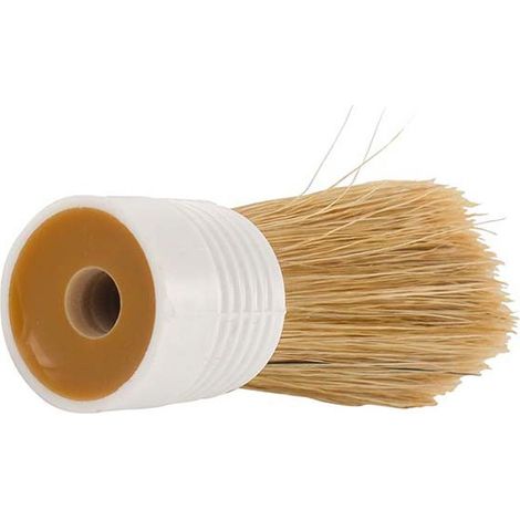 Testa Di Spazzola