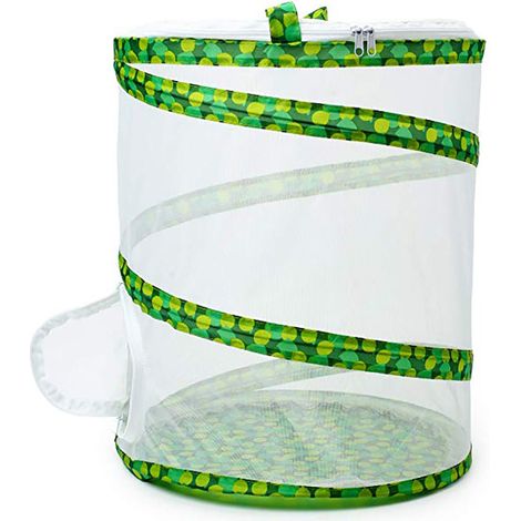 Cage pliant pour criquets, élevage d'insectes, boîte à papillons, grille pliable (1/4)
