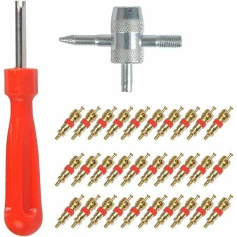 YMYNY 32pcs Demonte Valve Pneu Outil - Valve Core Remover pour Voiture Remplacement, Valve Core 30pcs, 4-1 Outil de Réparation de Valve de Pneu - Démonte Valve Pneu,LO-Ron (1/5)