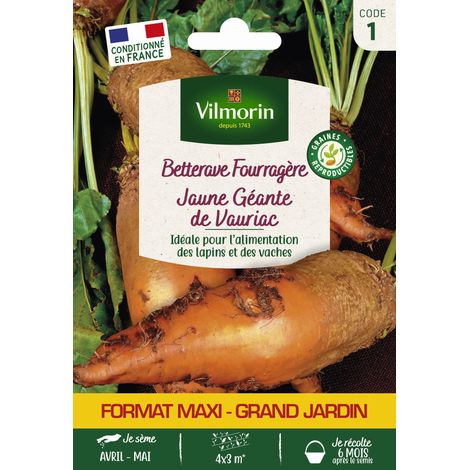 Vilmorin – Betterave fourragère jaune géante – Variété productive pour alimentation animale – Appréciée des lapins et vaches – 1kg