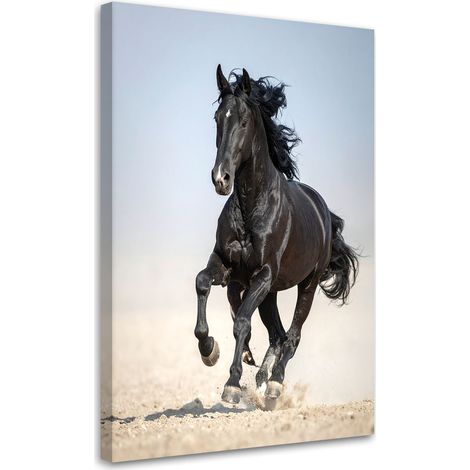 Impression sur Toile, Cheval noir courant animaux,20x30 (1/4)