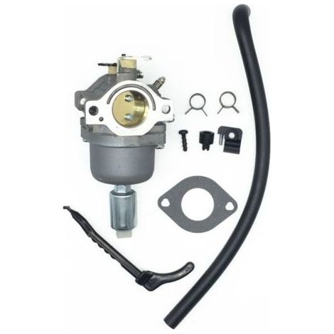 Carburateur pour Moteurs Briggs & Stratton 287707 287776 287777 310707 310777 698620 690194 791886 799727 496796 499153 695412 792768 Remplacement du carburateur (1/4)
