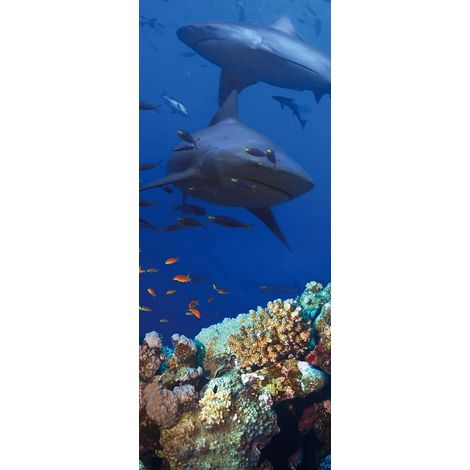 Papier peint autocollant pour porte - PVC - Support prêt à coller - Repositionnable - Film adhésif pour meubles - Idéal pour la chambre, le salon et le couloir - 200 x 77 cm (1/5)