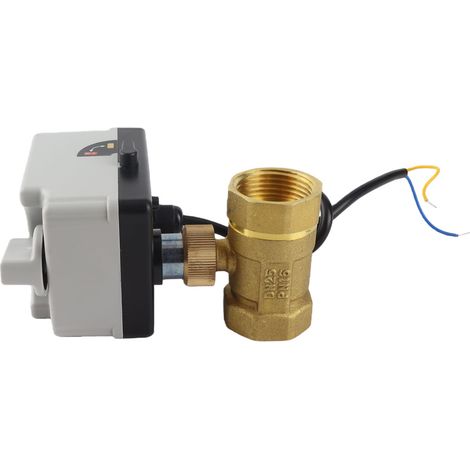 Vanne à boisseau motorisée 2 voies 2 fils fermée au repos DN25 laiton ABS 12V-24V DC pour industrie (1/5)