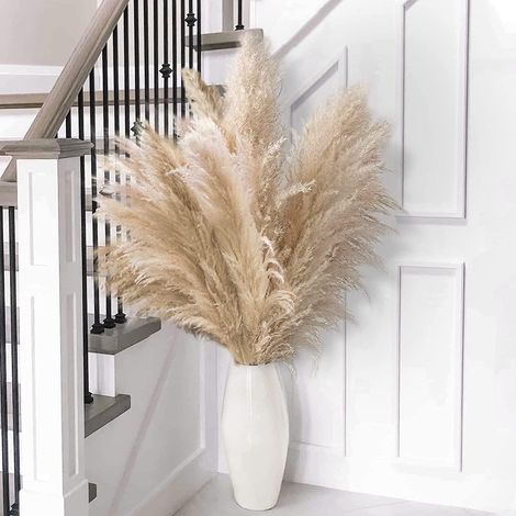 Lot de 14 Tiges de 80 cm - Herbe de la Pampa Séchée - Style Bohème Neutre - Bouquet Moelleux pour Vase de Sol - Décoration Murale et de Table (1/5)