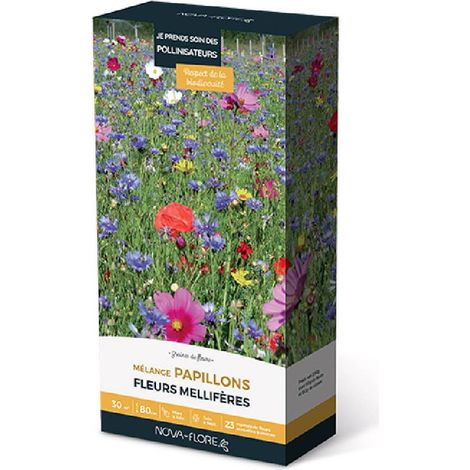 Prairies fleuries : j'invite les papillons 30 m2 (1/2)