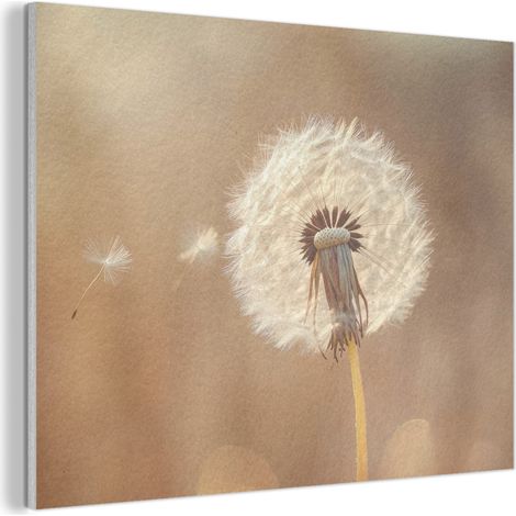 CUADRO ACÚSTICO Diente de león - Beige - Naturaleza - Flor Adornos Pared 80x60 (1/5)