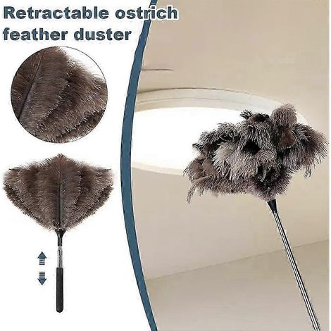 Plumeau rétractable pour le nettoyage de la maison avec manche en acier inoxydable (1/4)