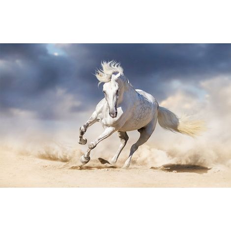 Affiche animal le cheval blanc - 60x40cm - made in France (1/5)