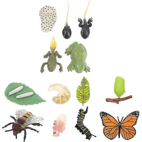 Lot de 3 figurines d'insectes (cycle de vie d'un papillon et d'une grenouille, modèle de croissance Safariology, figurines d'insectes, jouet éducatif pour enfants et tout-petits, multicolore) (1/5)