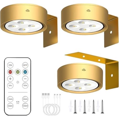 Lot de 3 éclairages tableau sans fil rechargeables télécommande LED dorés cadres (1/5)