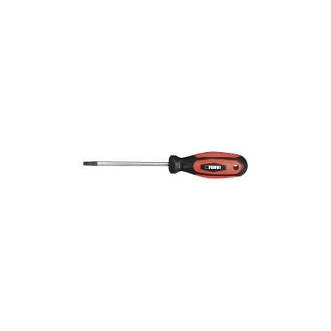 CACCIAVITE TORX T25x100