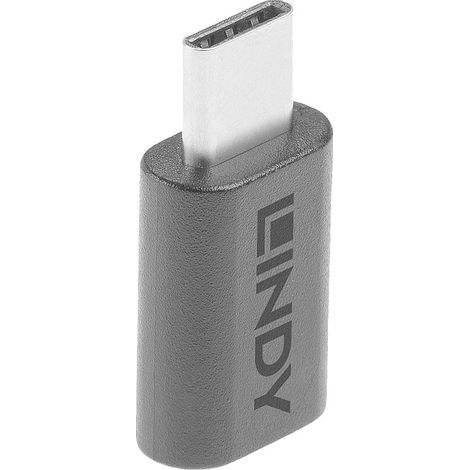 Lindy 41893 adattatore per inversione del genere dei cavi USB 3.2 Type C Nero (1/5)