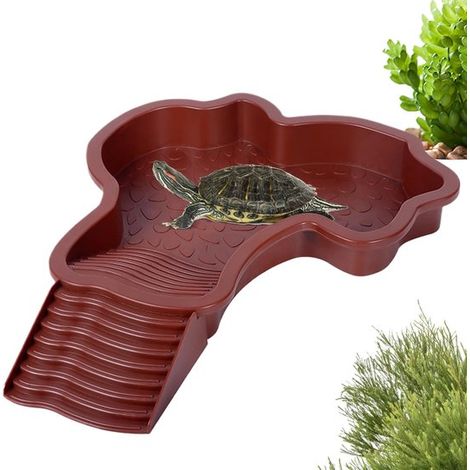 Futtertrog für Schildkrötenteiche Wassernapf für Schildkrötenteiche mit Rampe Wassernapf für Reptilien mit Leiter Duschwanne für die Terrasse 5 (1/5)
