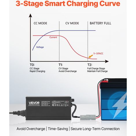 Chargeur Batterie Lithium LiFePO4 Intelligent 12 V 10 A 14 (1/5)
