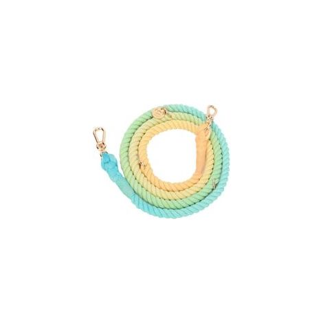 Laisse double en corde tressée pour chien, 210 cm, robuste, pour petits et grands chiens – (1/5)