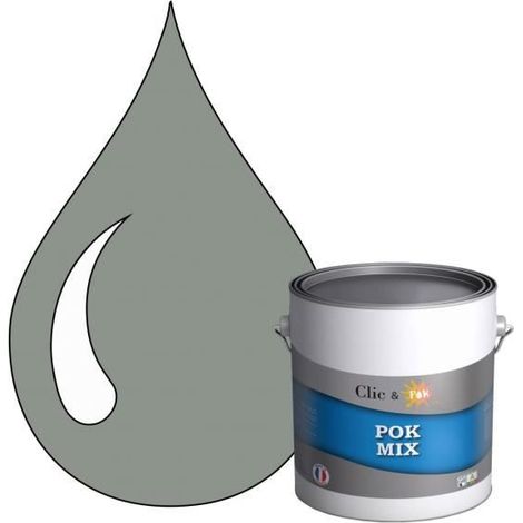 Peinture d'Accroche et Finition 2 en 1 - POK - POK MIX - Acrylique Satinée - 3L - RAL 7042 (1/4)