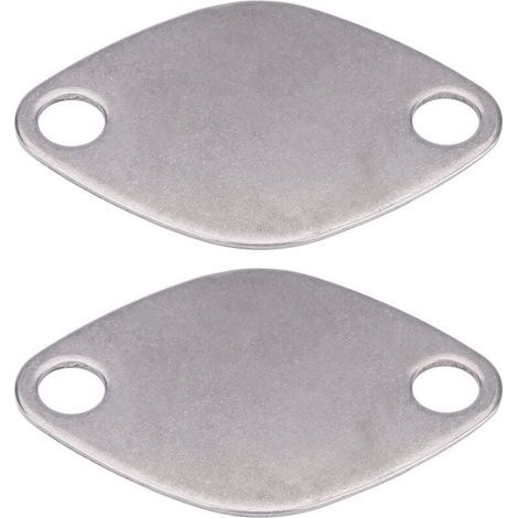 Kit de plaque de bloc d'obturation de vanne EGR pour RENAULT ESPACE LAGUNA MASTER TRAFIC VAUXHALL MOVANO (1/5)