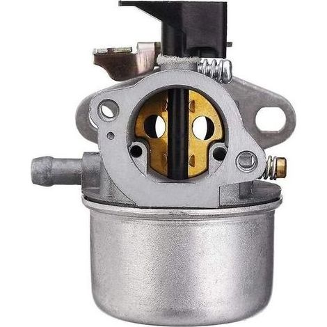 pair Carburateur pour tronçonneuse de machines de jardin Briggs & Stratton (1/2)