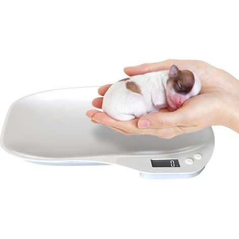 Digitale Mini-Haustierwaage, 15 kg/1 Gramm, LCD-Bildschirm, geeignet für Katzen, Welpen, Hamster und andere Haustiere, genau, kompakt und einfach zu bedienen. (1/5)