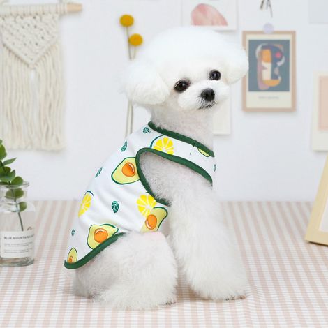 T-shirts d'été pour chiens, motif fruits, coton doux, gilet pour petit chien et chat, veste légère pour animaux (1/5)