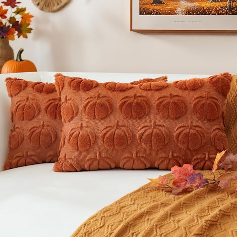 Lot de 2 Automne Housses de coussin en Fausse Fourrure Douce – et Moelleuse Décoratif Citrouille Taie d'oreiller Doux (1/5)
