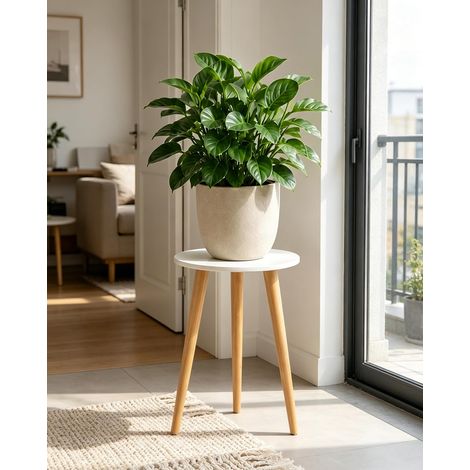Support pour Plantes d'Intérieur en Bois Rond, Table d'Appoint Moderne Style Milieu du Siècle - Petit et Blanc pour Décoration d'Intérieur avec Pots de Fleurs (1/5)