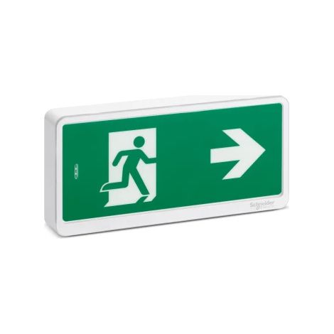 Schneider OVA59110 Exiway Light Bloque de emergencia para evacuación IP42 SATI