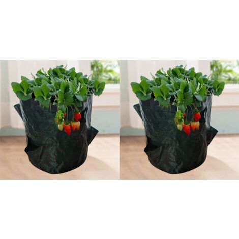Sacs de Culture pour Fraise, 2PCS 18L/5 Gallons Sac de Legumes, Tissu Non-tissé Sac de Plantation avec Fenêtre, Sac de Legumes de Jardin (23X28CM (4 ports)) (1/5)