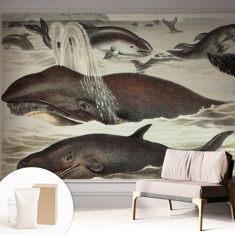 Carta Da Parati In Vlies - Fotomurale - Decorazione Paretie - Per Camera Da Letto - Per Soggiorno - Con Colla Gratuita Creature marine 312x219 cm (1/5)
