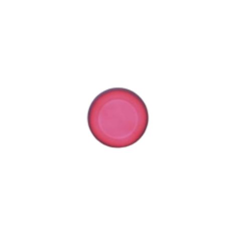 Bouton Piezo RGB en plastique  - CCEI (1/5)