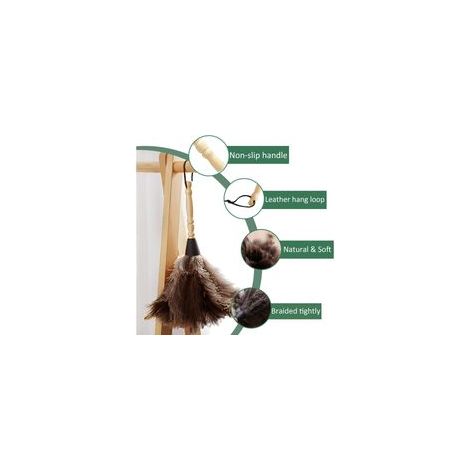 Plumeau en plumes d'autruche avec manche en bois, 30 cm (1/4)