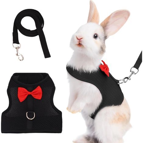 Rabbit Harness, Adjustable, Breathable Mesh, Small Animal, Black (1/5)
