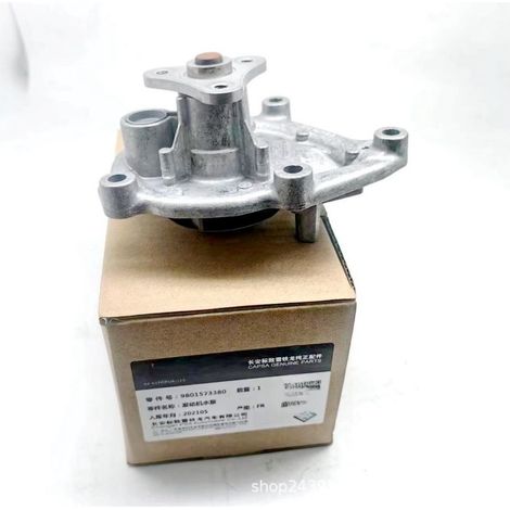 1301H8 9801573380 308 3008 est compatible avec la pompe à eau Citroën C4 DS5 DS6 1.6THP, ensemble pompe à eau, pour moteur 1.6T. (1/4)
