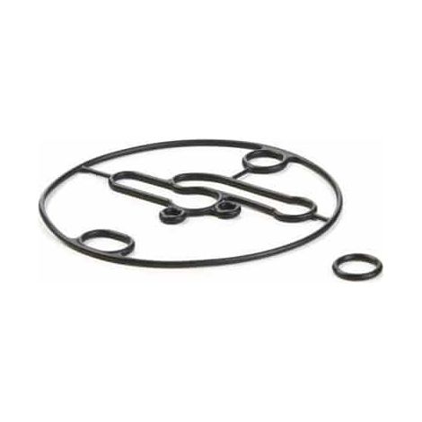 Guarnizione galleggiante coppa BRIGGS et STRATTON 698781
