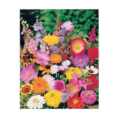 FLEURS D'ETE EN MELANGE - 4 G