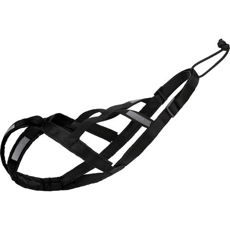 1 Harnais Chien Nylon Noir M Pour Canicross Bikejöring Skijöring Scootering Entraînement Traction (1/5)