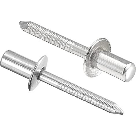 Rivets aveugles, rivets de traction en acier inox 304, rivets à noyau décoratif, diamètre 6,4 mm, longueur de serrage 12 mm, argent, 25 pièces (1/4)