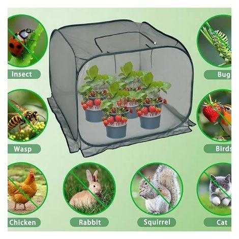 2 Stück Pflanzenschutzhüllen – Schutz vor Mücken, Insekten, Staub und Tieren – geeignet für den Anbau von Gemüse und Blumen (1/2)