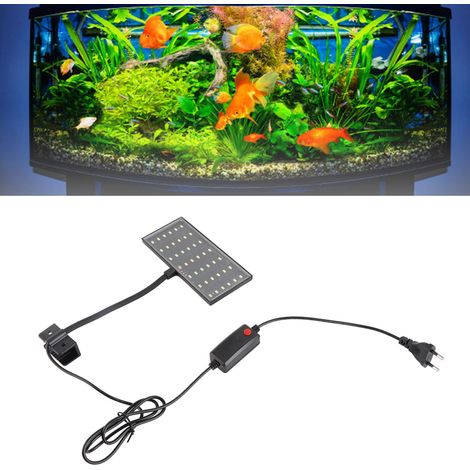 Lumière LED pour Aquarium Moyen et Petit - Éclairage Intense pour l'Alimentation des Algues - Flexible avec Support de Fixation - Conforme aux Normes Européennes-AUTRES (1/5)