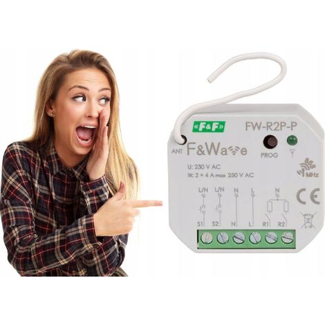 Relais bistable 2 canaux FW-R2P-P - Multifonctionnel - Télécommande sans fil - 16A (1/5)