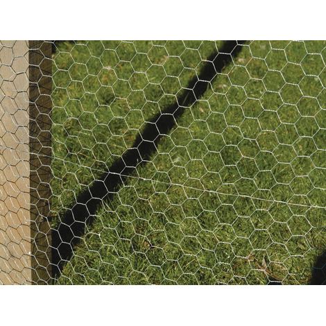 Apollo 10m Galvanised Wire Netting 600mm High (1/3)