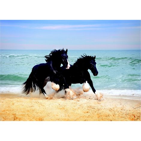 Poster Thème Horses On Beach - 155 x 110 cm (1/3)