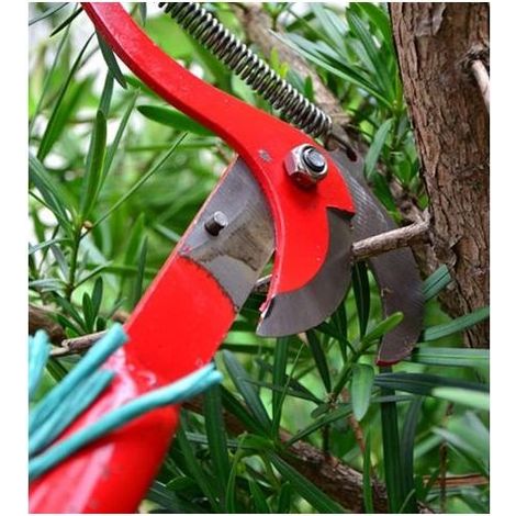 Cueilleur de fruits télescopique, sécateur de jardin télescopique, sécateur télescopique, élagueuse sur perche, scie d'élagage télescopique, sécateur