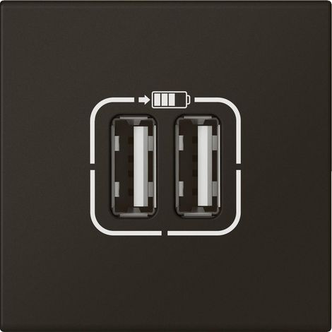 Chargeur 2 USB Type-A 2,4A 5V 12W Mosaic 2 modules 230V noir mat LEGRAND 079194L (1/4)