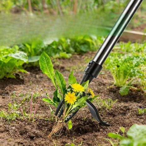 Désherbeur Debout 147 cm Aluminium Inox Tête 14,5 x 14 cm Jardin Pelouse (1/4)
