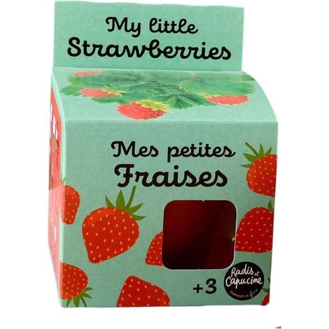 Kit plantation - Fraisier - 8cm (1/5)