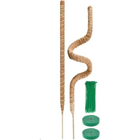 Tuteur Monstera Plante Grimpante 2 x 120cm, Pliable Support Coco pour sphaigne Qui Poussent vers Le Haut, Maison Jardin de avec Atta (1/5)